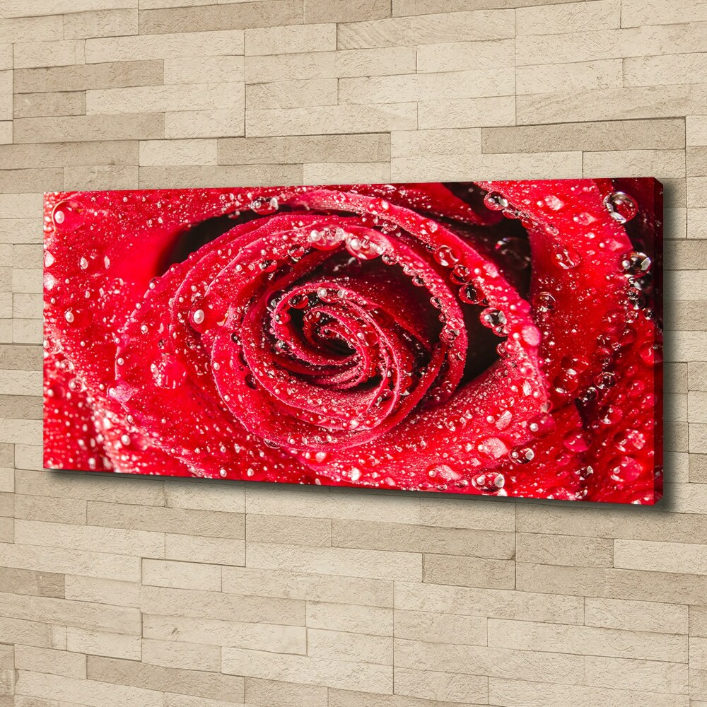 Tableau mural sur toile Gouttes d'eau sur une rose