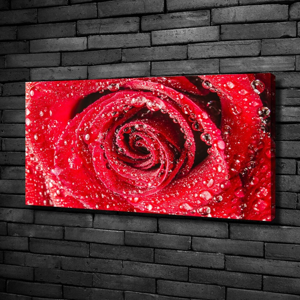 Tableau mural sur toile Gouttes d'eau sur une rose