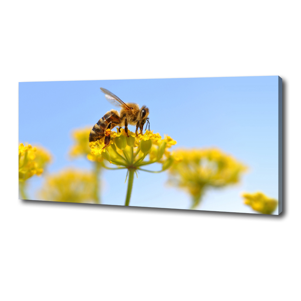 Tableau imprimé sur toile Une abeille sur une fleur