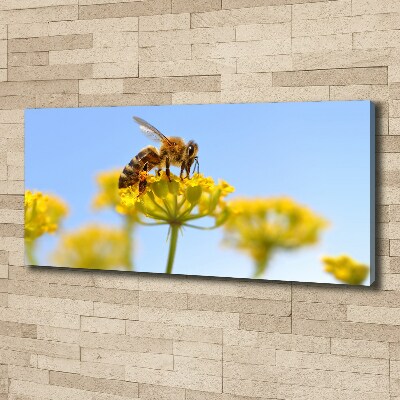 Tableau imprimé sur toile Une abeille sur une fleur