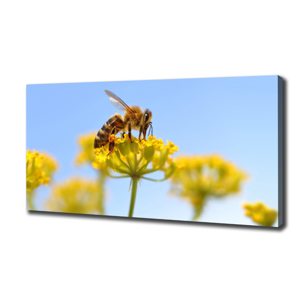 Tableau imprimé sur toile Une abeille sur une fleur