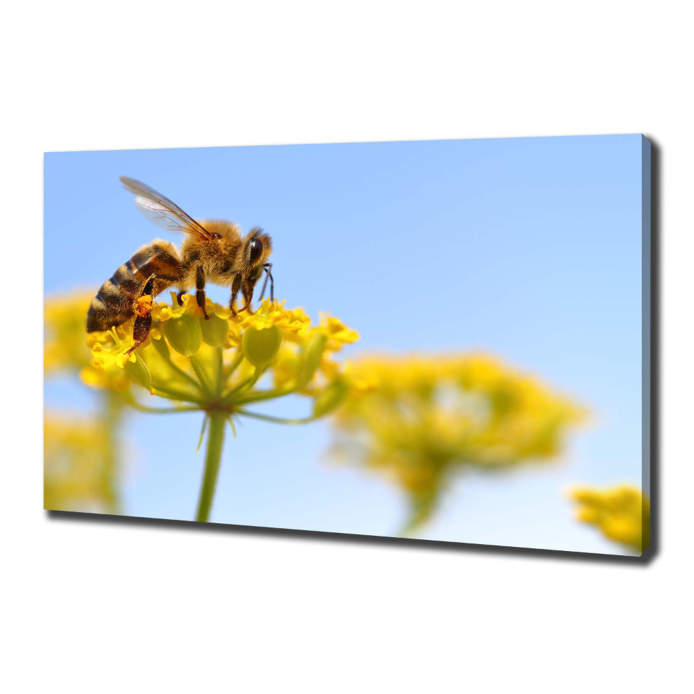 Tableau imprimé sur toile Une abeille sur une fleur