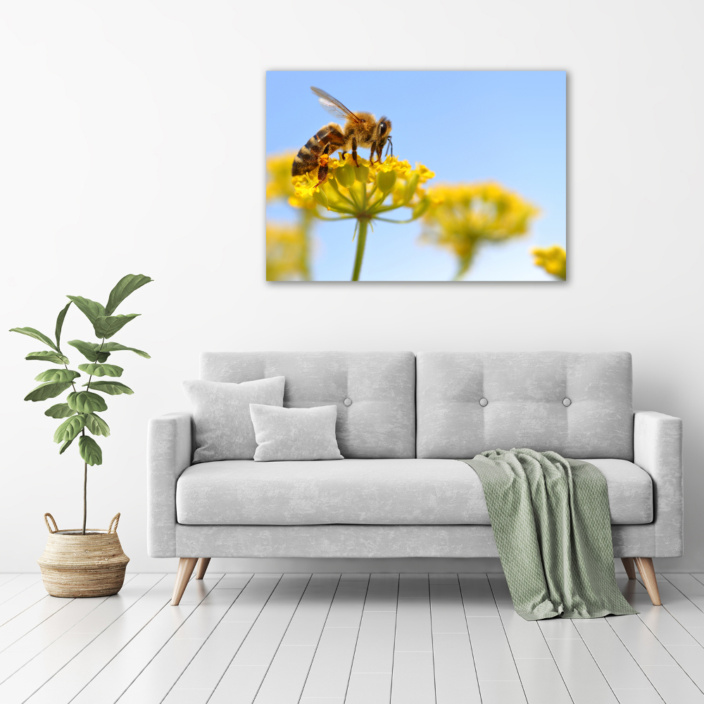 Tableau imprimé sur toile Une abeille sur une fleur