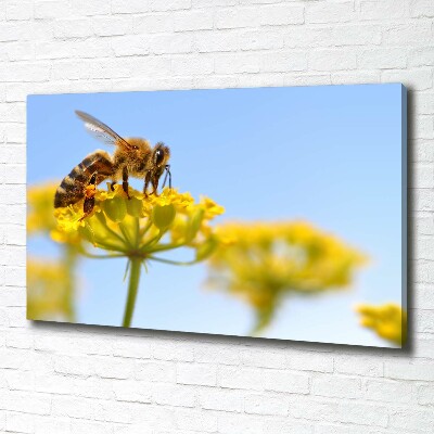 Tableau imprimé sur toile Une abeille sur une fleur