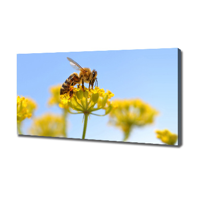 Tableau imprimé sur toile Une abeille sur une fleur