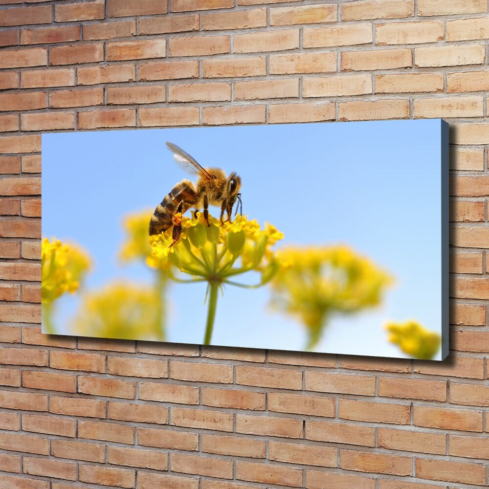 Tableau imprimé sur toile Une abeille sur une fleur