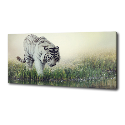 Tableau photo sur toile Tigre blanc