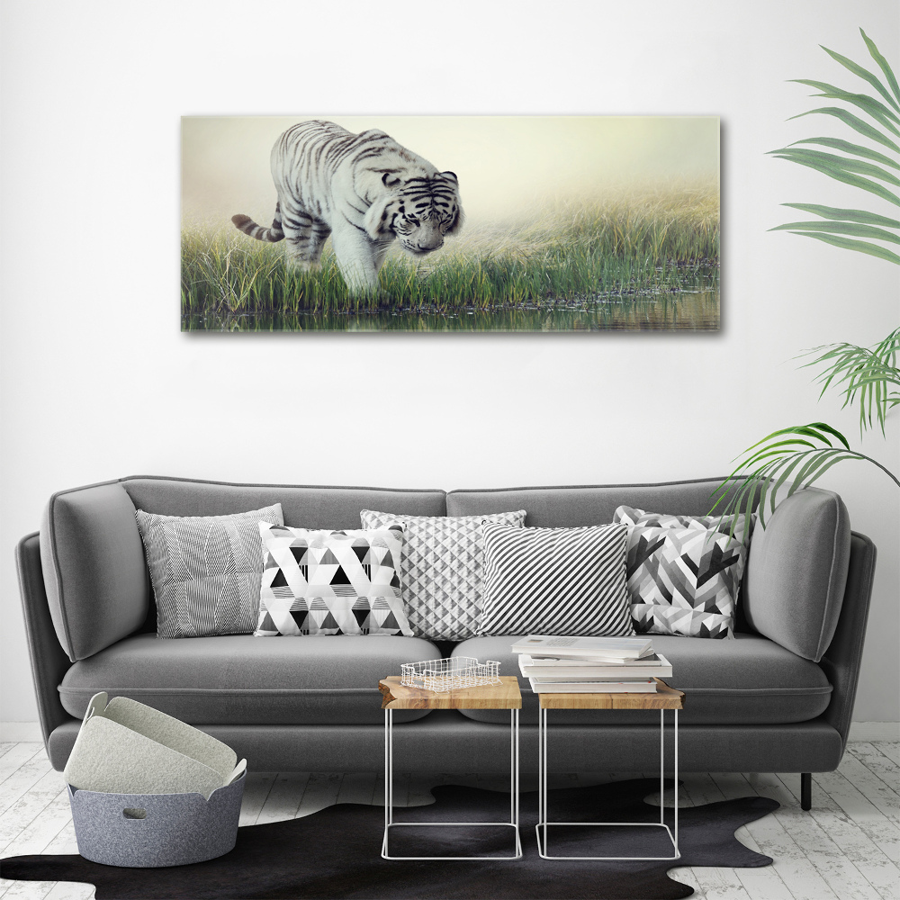 Tableau photo sur toile Tigre blanc