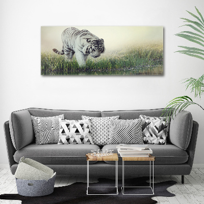 Tableau photo sur toile Tigre blanc