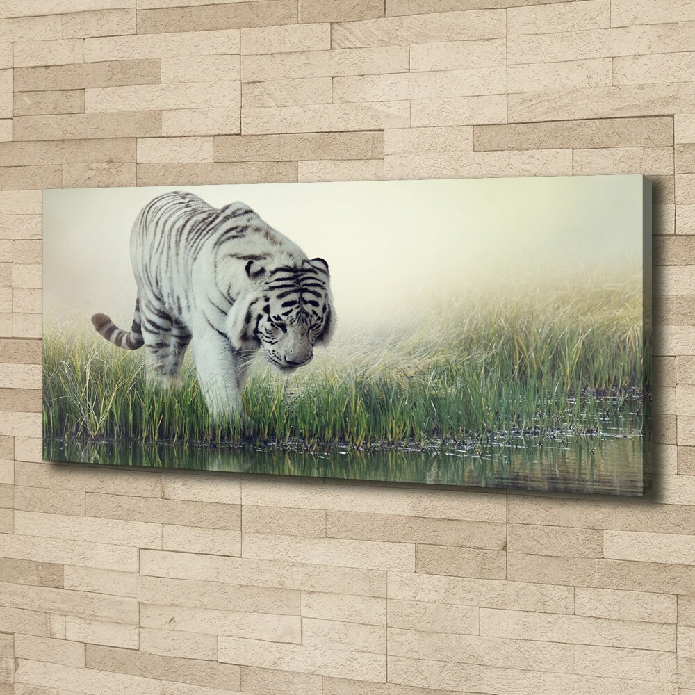 Tableau photo sur toile Tigre blanc