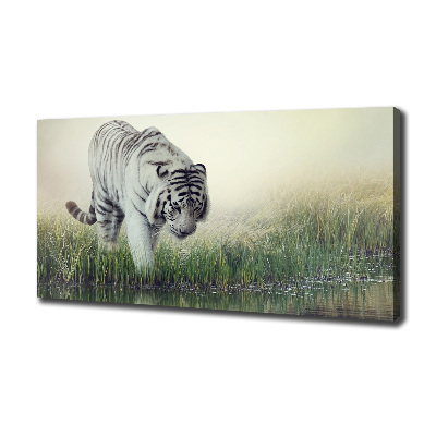 Tableau photo sur toile Tigre blanc