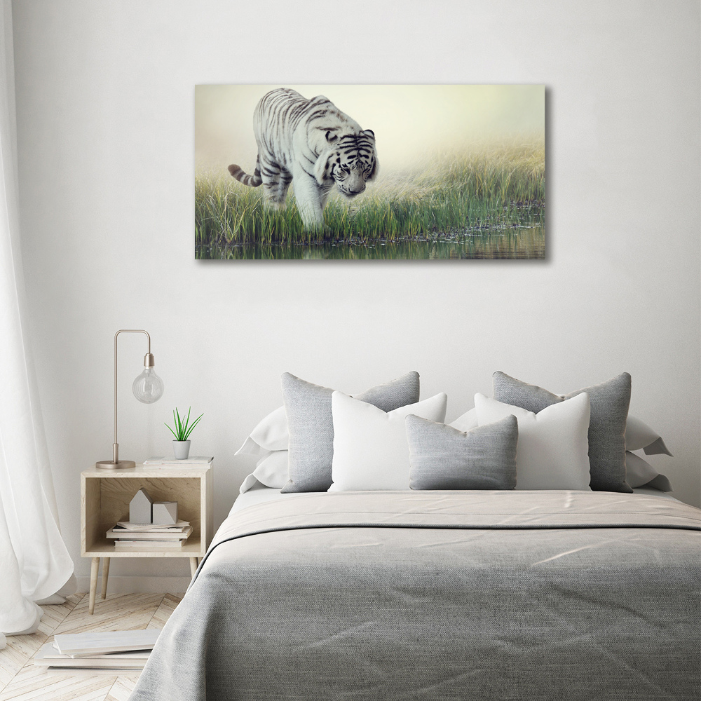 Tableau photo sur toile Tigre blanc