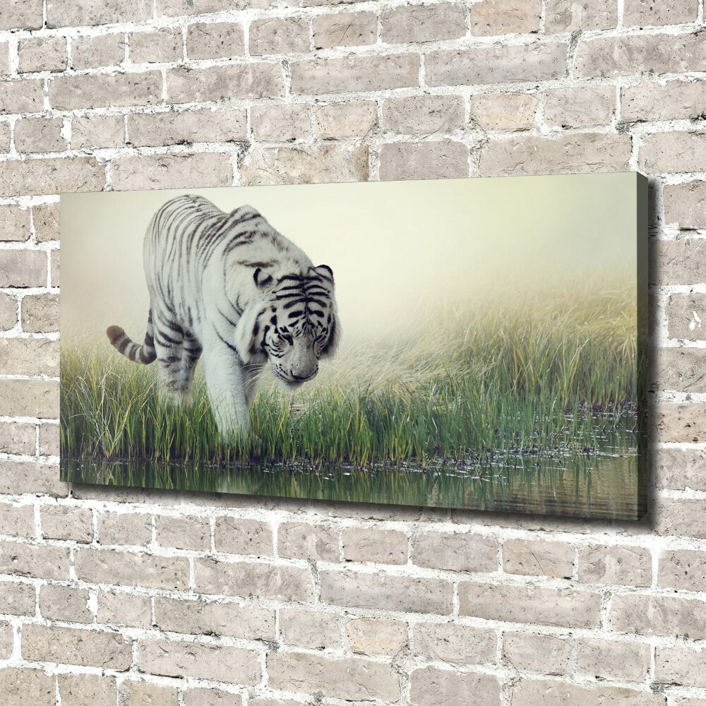 Tableau photo sur toile Tigre blanc