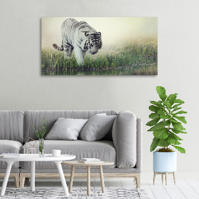 Tableau photo sur toile Tigre blanc