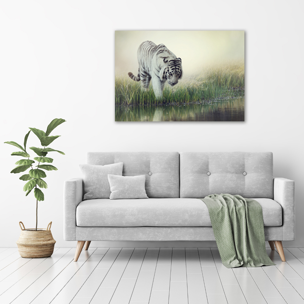 Tableau photo sur toile Tigre blanc