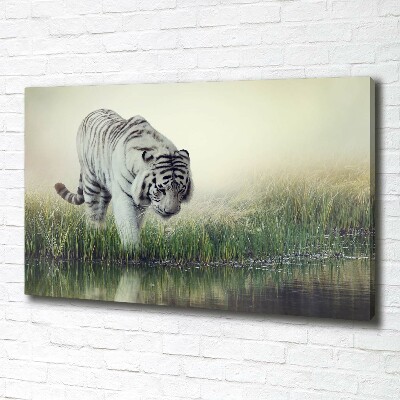 Tableau photo sur toile Tigre blanc