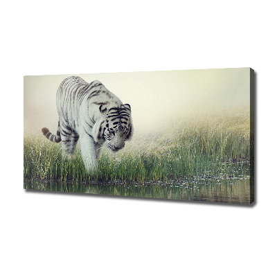 Tableau photo sur toile Tigre blanc