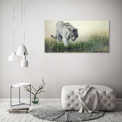 Tableau photo sur toile Tigre blanc