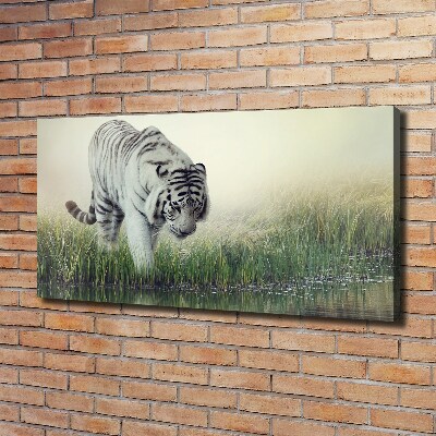 Tableau photo sur toile Tigre blanc