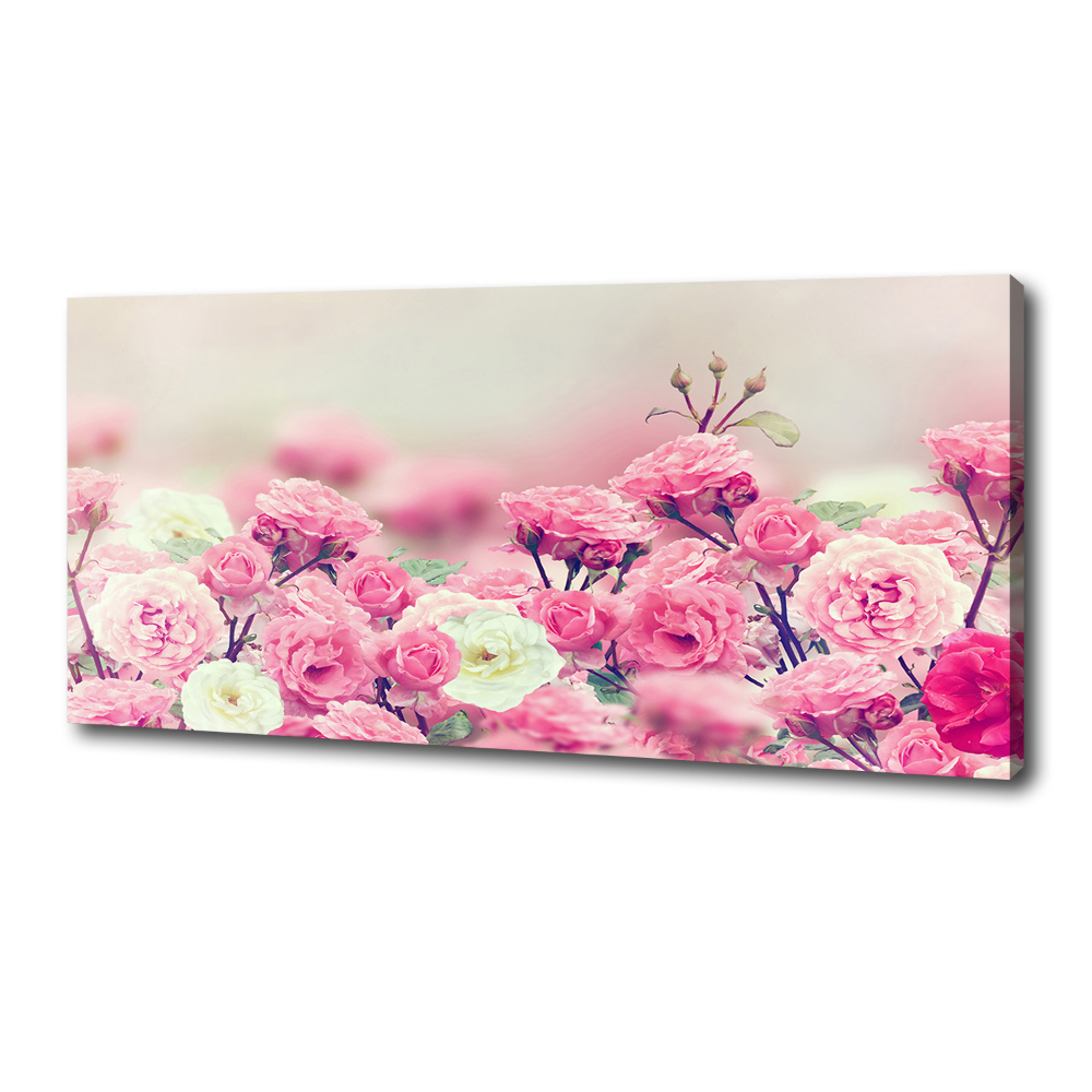 Tableau mural sur toile Fleurs d'églantier