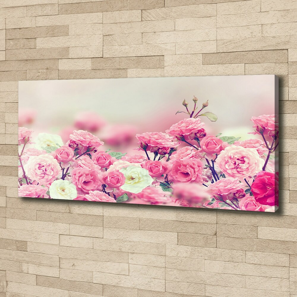 Tableau mural sur toile Fleurs d'églantier