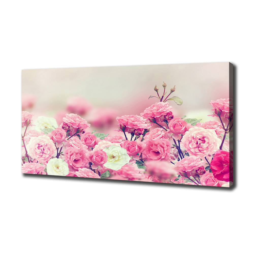 Tableau mural sur toile Fleurs d'églantier