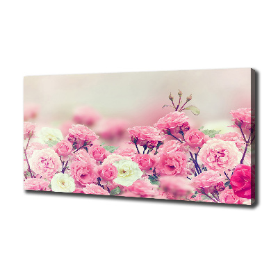 Tableau mural sur toile Fleurs d'églantier