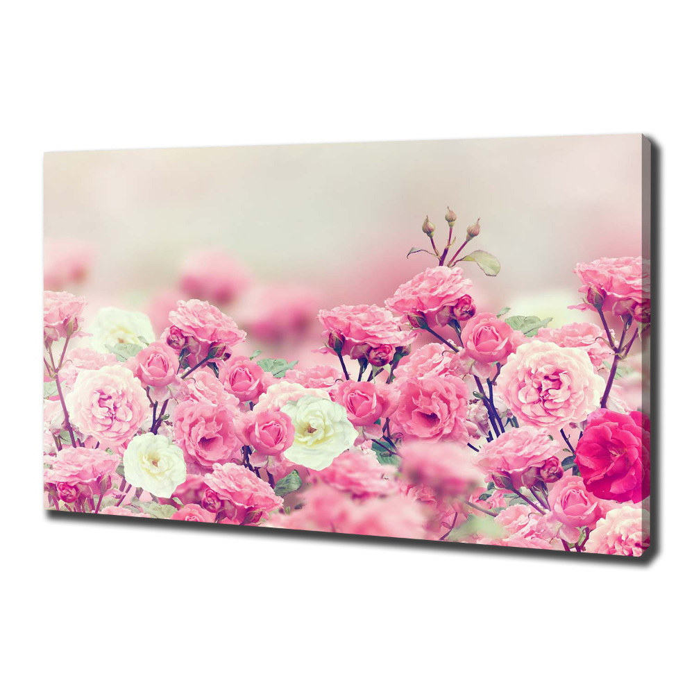 Tableau mural sur toile Fleurs d'églantier