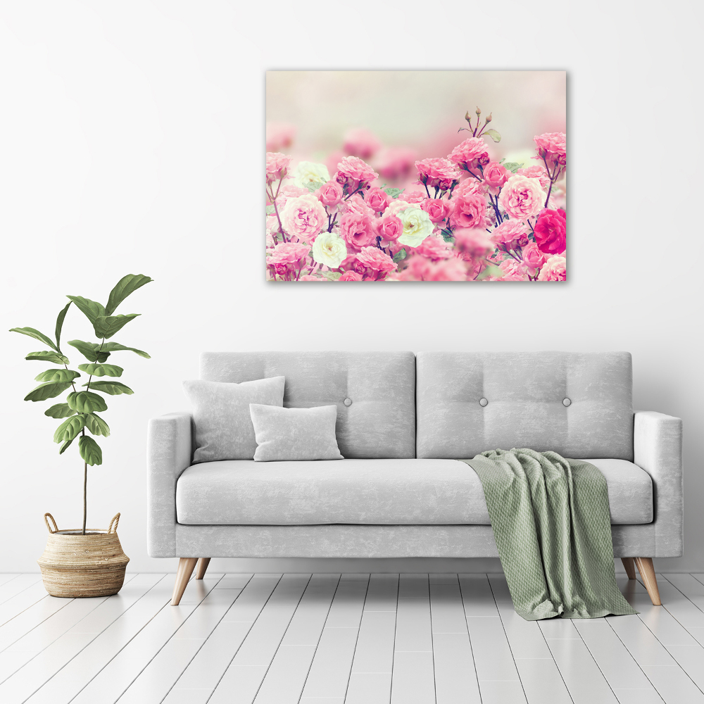 Tableau mural sur toile Fleurs d'églantier