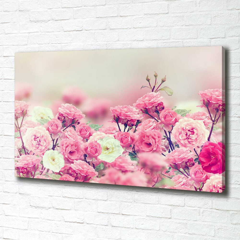 Tableau mural sur toile Fleurs d'églantier