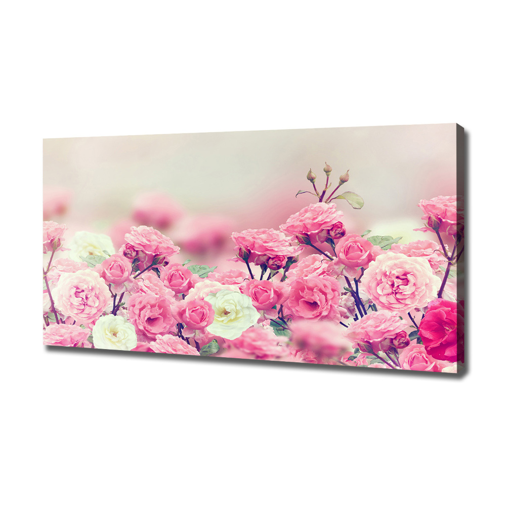 Tableau mural sur toile Fleurs d'églantier