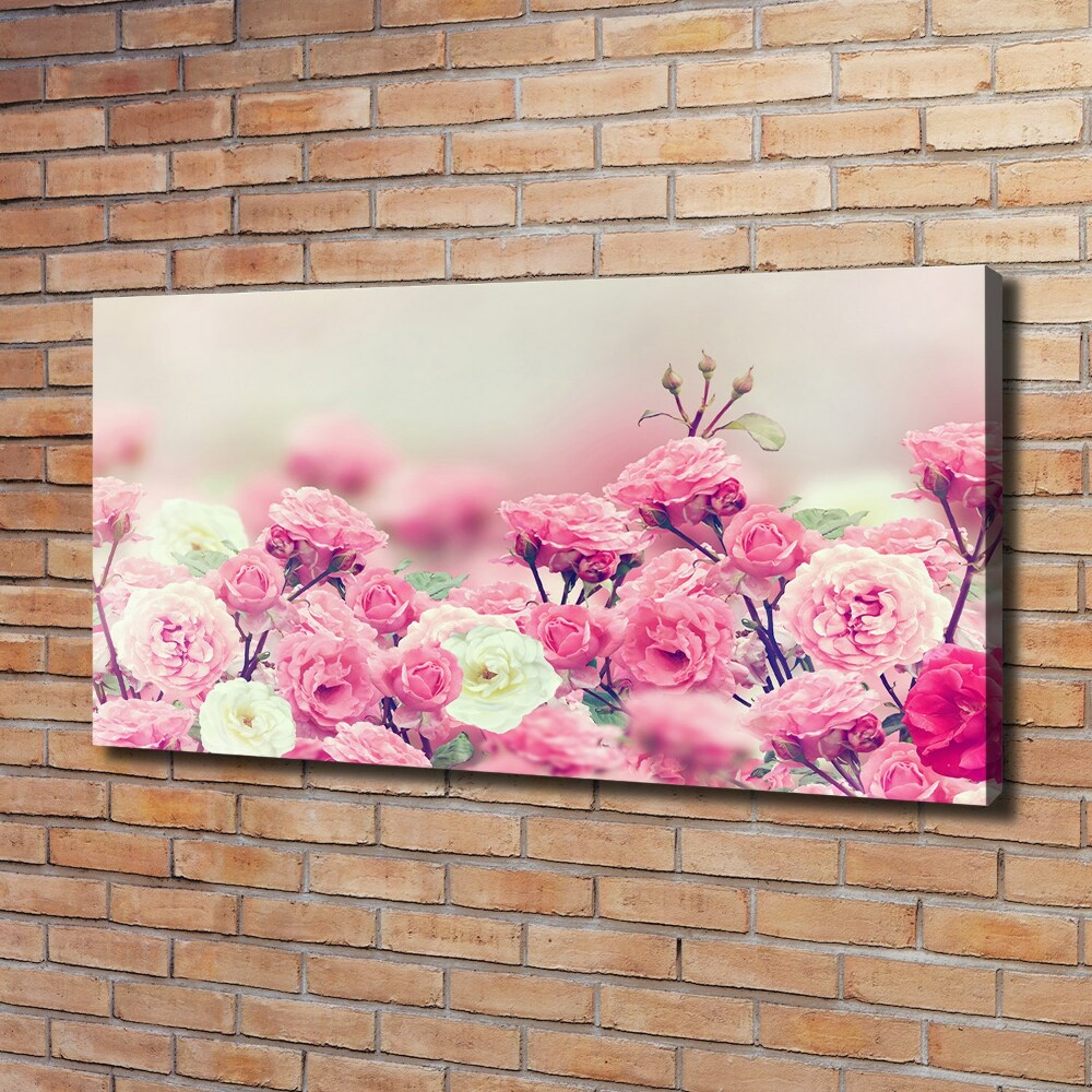 Tableau mural sur toile Fleurs d'églantier