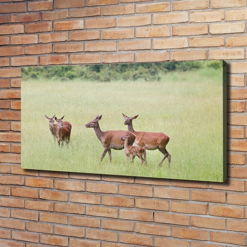 Tableau toile imprimée Cerf avec ses petits