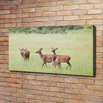 Tableau toile imprimée Cerf avec ses petits