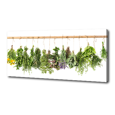 Tableau sur toile Herbes sur une ficelle