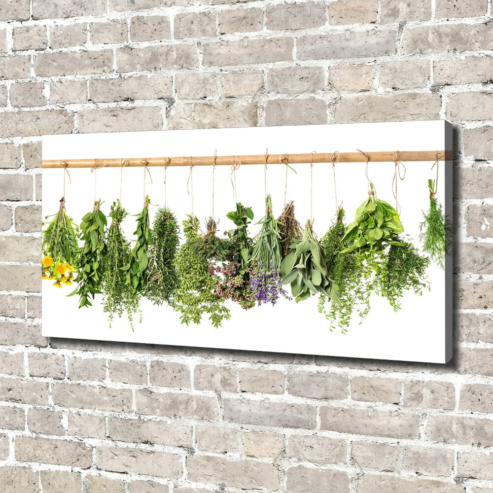 Tableau sur toile Herbes sur une ficelle