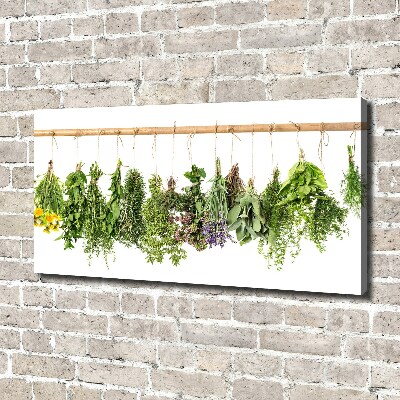 Tableau sur toile Herbes sur une ficelle