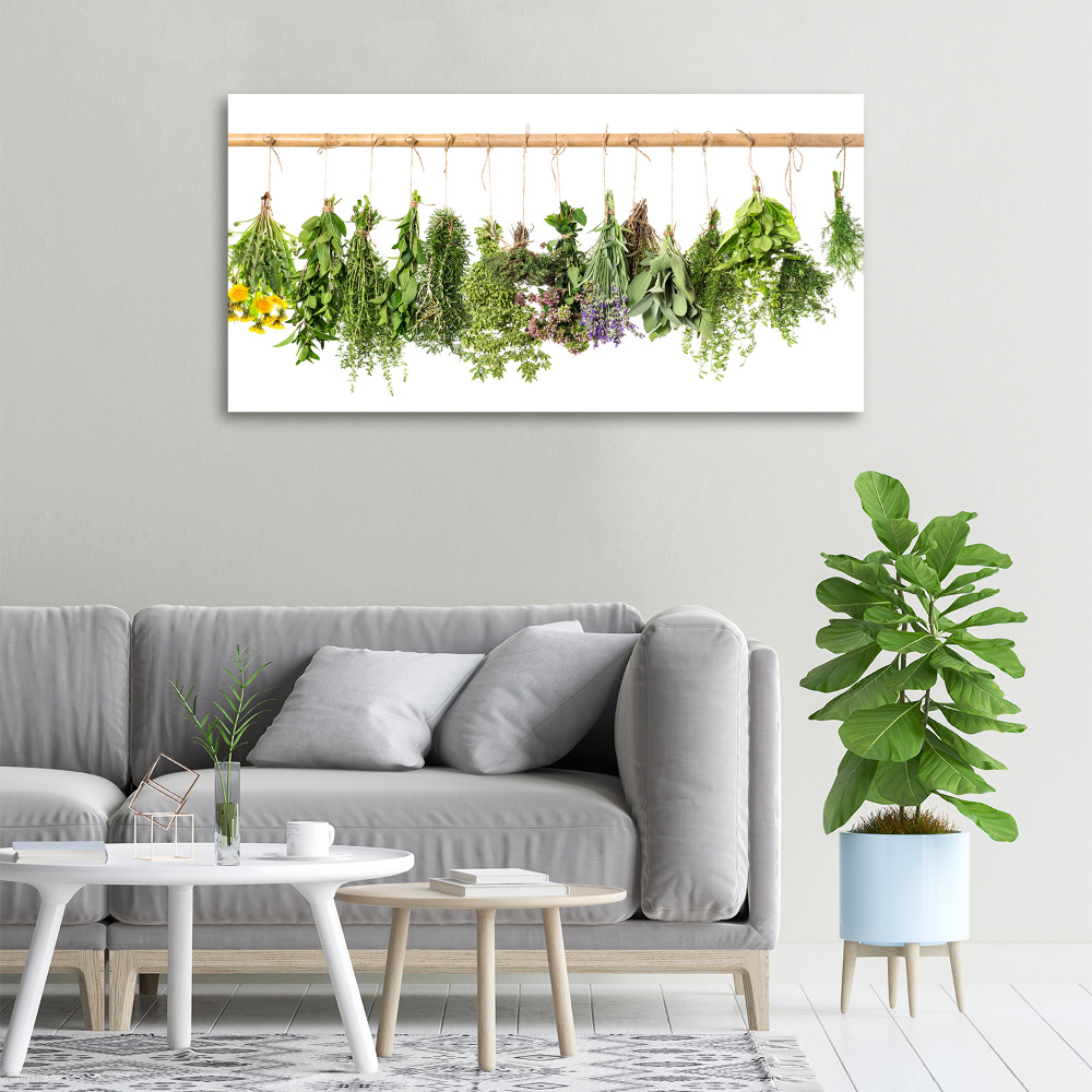 Tableau sur toile Herbes sur une ficelle