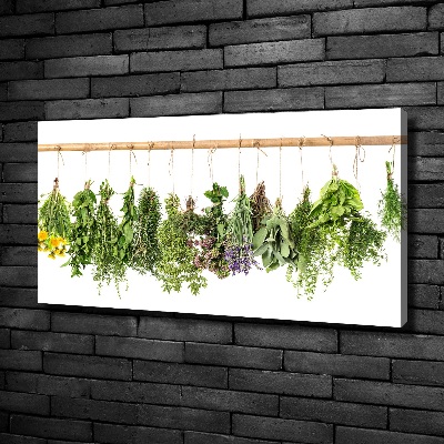 Tableau sur toile Herbes sur une ficelle