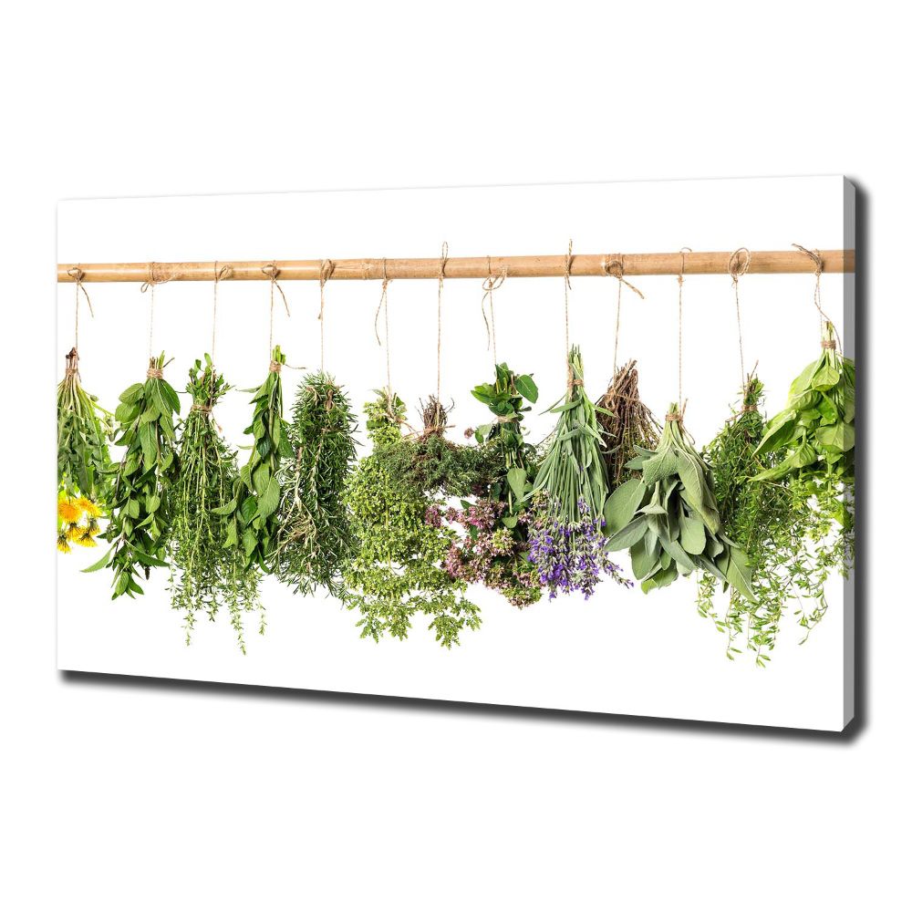 Tableau sur toile Herbes sur une ficelle