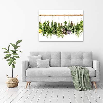 Tableau sur toile Herbes sur une ficelle