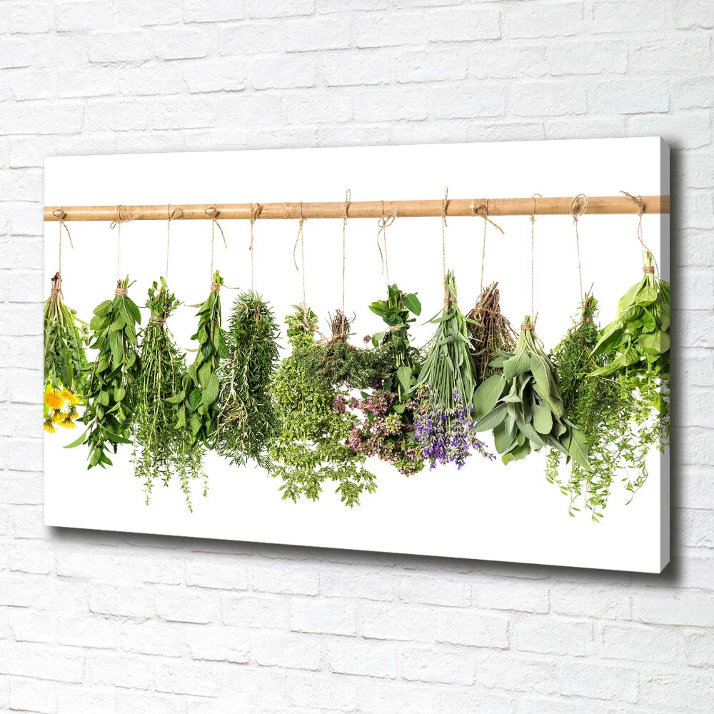 Tableau sur toile Herbes sur une ficelle