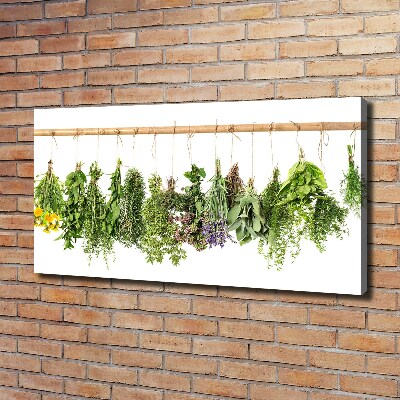 Tableau sur toile Herbes sur une ficelle