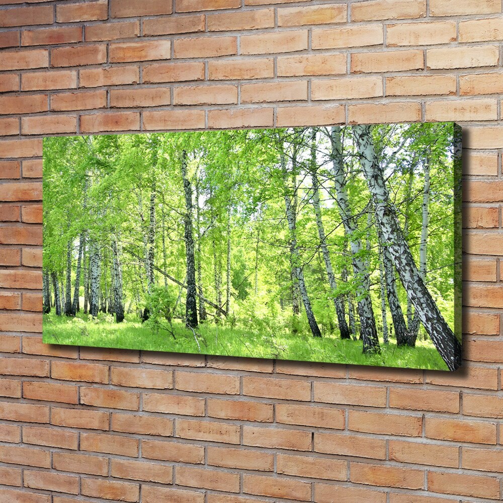 Tableau toile imprimée Forêt de bouleaux