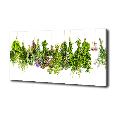 Tableau mural sur toile Herbes sur ficelle