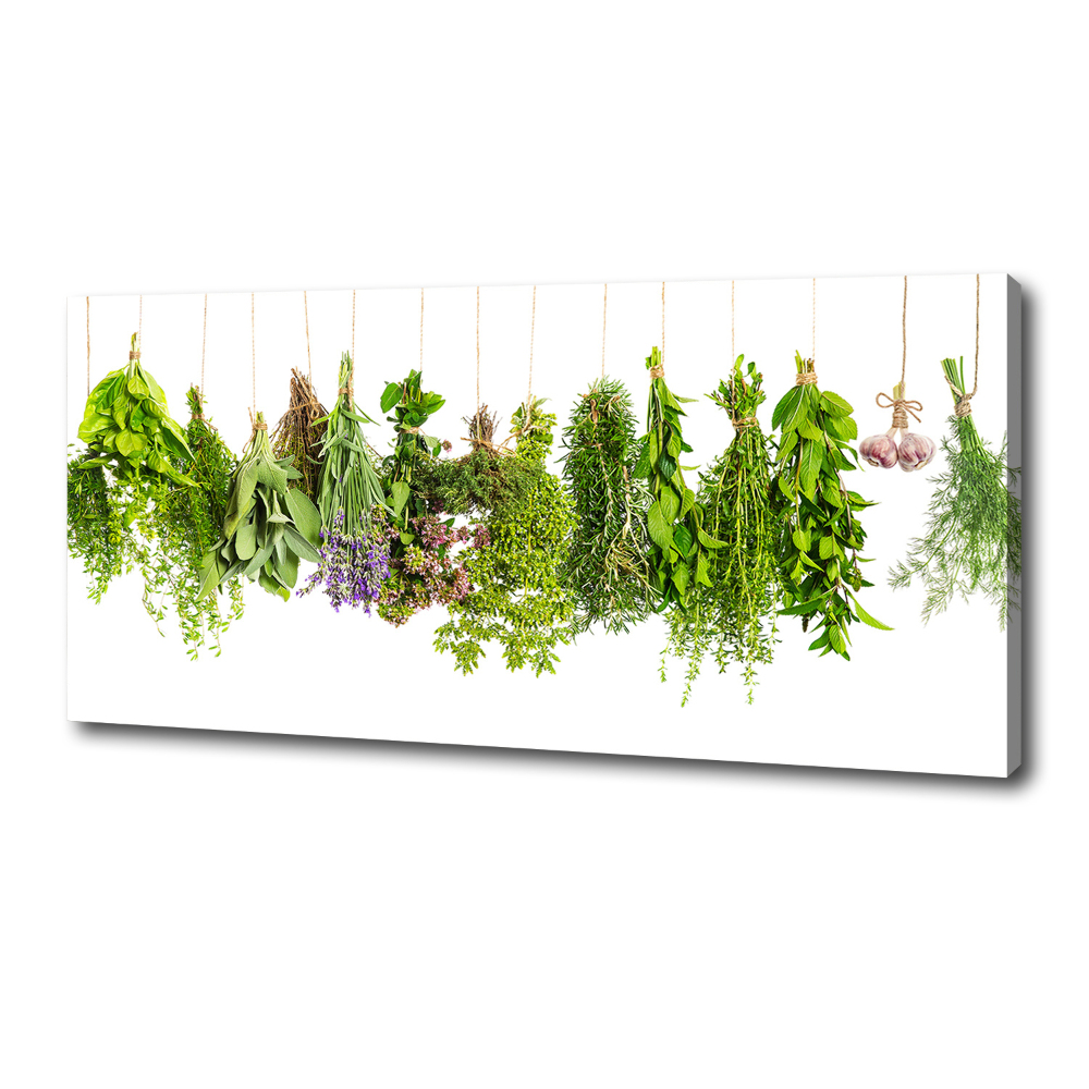 Tableau mural sur toile Herbes sur ficelle