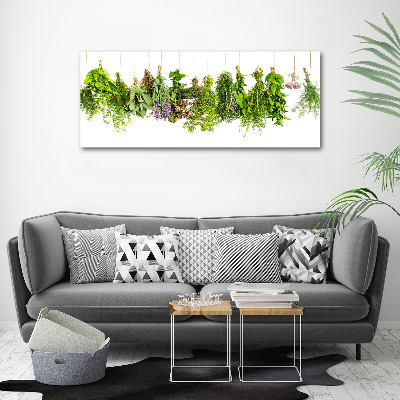 Tableau mural sur toile Herbes sur ficelle