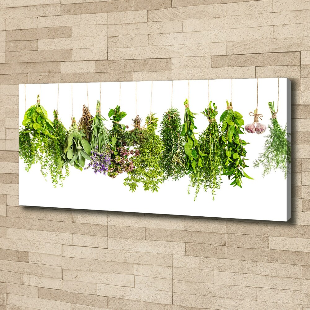 Tableau mural sur toile Herbes sur ficelle