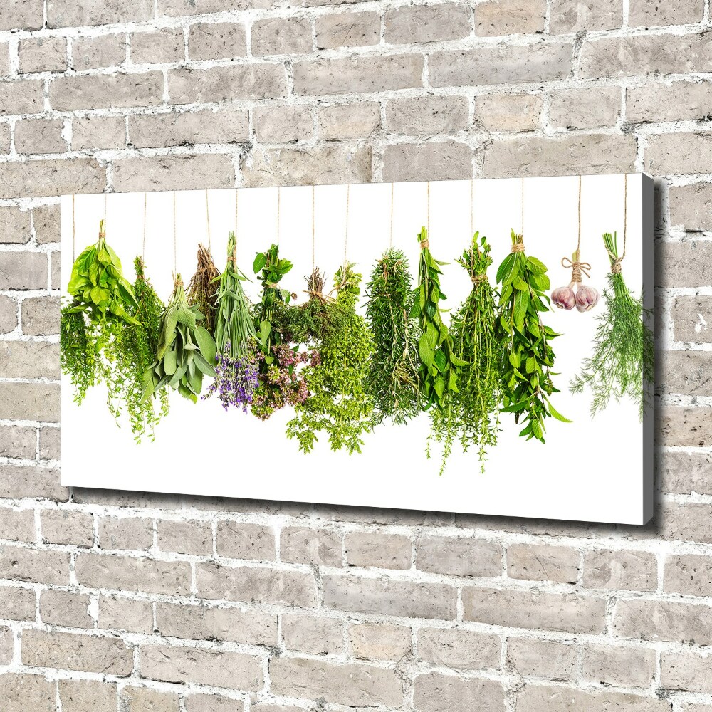 Tableau mural sur toile Herbes sur ficelle