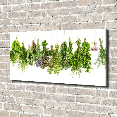 Tableau mural sur toile Herbes sur ficelle